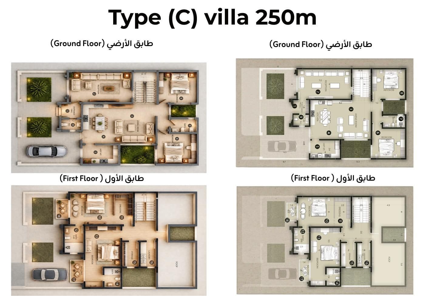 Type (C) Villa — 250 m² — Ground & First Floor Plans